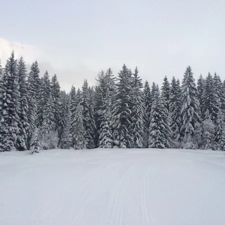 ホテル La Ferme Du Golf